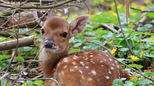 Las deszczowy jest daleko – ZOO tuż za rogiem. Las deszczowy jest daleko – ZOO tuż za rogiem.