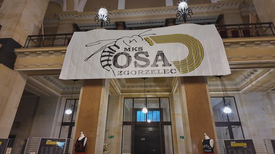 OSA ma 65 lat
