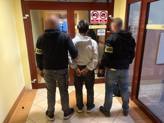 11 poszukiwanych zatrzymanych w dwa dni. Skuteczna akcja policjantów z powiatu zgorzeleckiego