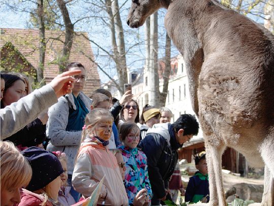 11 września 2022 moc atrakcji w Zoo Görlitz-Zgorzelec!