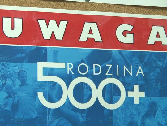 500+ w liczbach