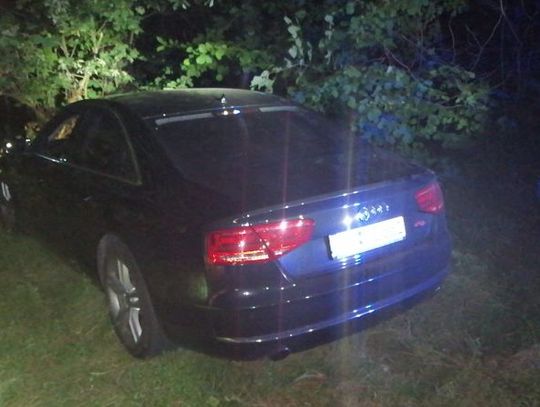 Audi w lesie