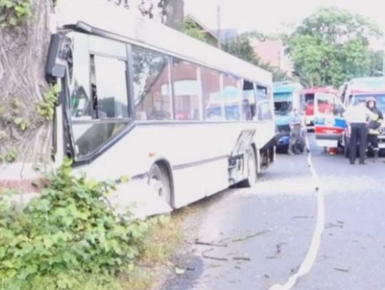 Autobus wjechał w drzewo