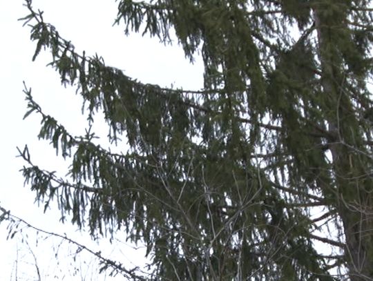 Będzie wiało nawet 80 km/h