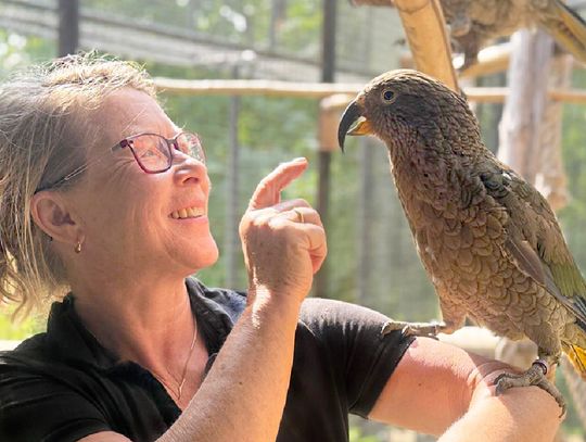 Czas zamiast rzeczy materialnych – Wyjątkowe pomysły na prezenty z Zoo Görlitz-Zgorzelec