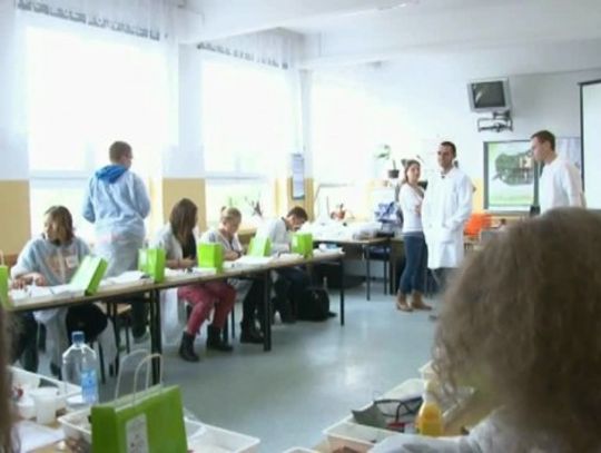 Ekologiczne baterie