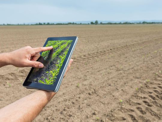 Jak usługi rolnicze i wynajem maszyn AGROHANDEL pomagają optymalizować pracę w gospodarstwie?