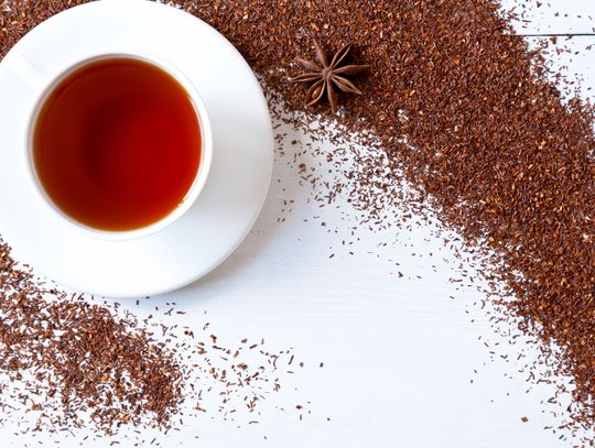 Jakie właściwości ma herbata rooibos?