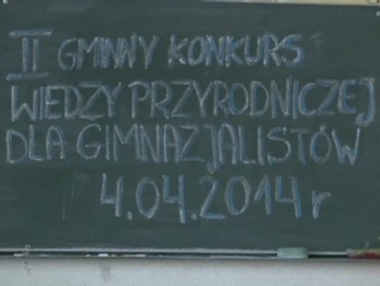 Las i jego znaczenie