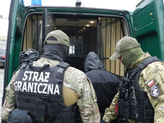 Mieszkanka Zgorzelca kierowała grupą przestępczą?