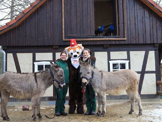 Obdarowywanie zwierząt 7 grudnia 2025 r. o godz. 14:00 w Zoo Görlitz-Zgorzelec