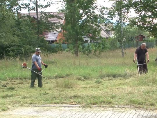 Ochotnicy pomagają