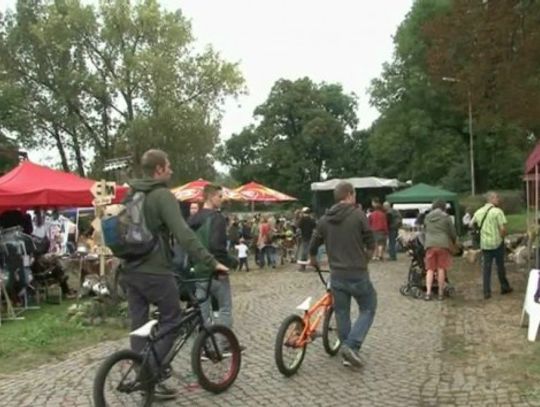 Odkrywanie z Fokusem