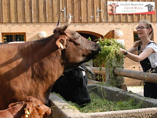 Pandzia dziupla w Zoo Görlitz gwarancją udanych wakacji wśród zwierząt