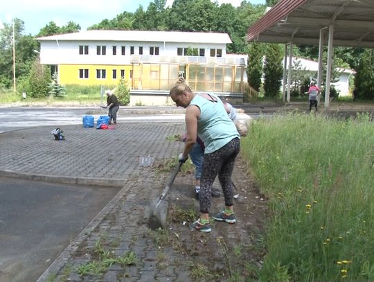 Plewili, kosili i zbierali śmieci