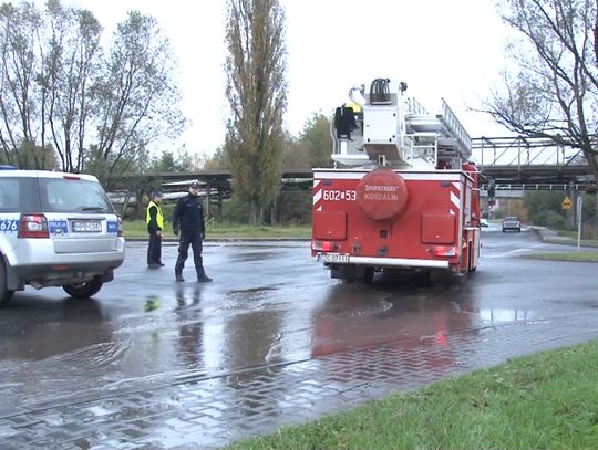 Policjanci na zwolnieniach