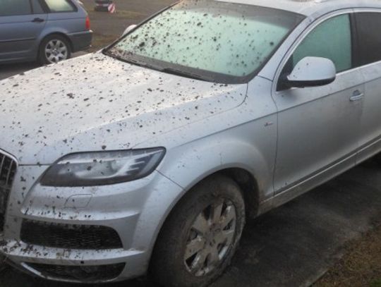Policjanci odzyskali skradzione auto warte ponad 30 tys. eur