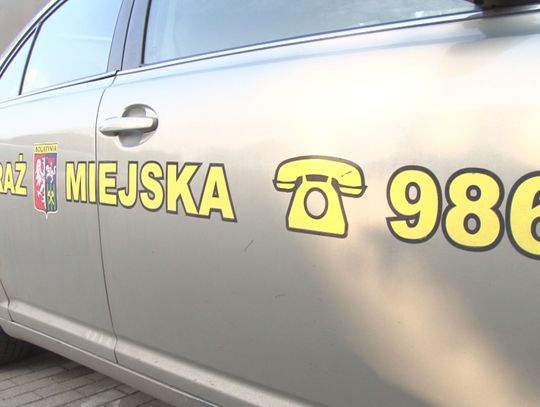 Pomogą za darmo