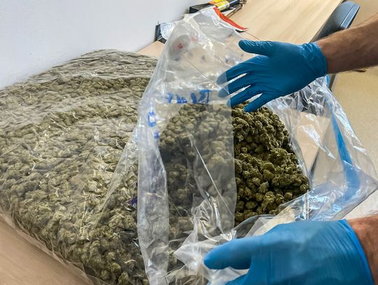 Ponad 100 kg marihuany ukryte w samochodzie ciężarowym przejęte przez służby