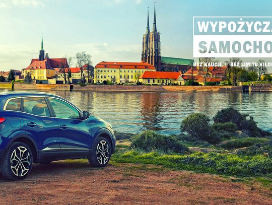 Popularność wypożyczalni samochodów