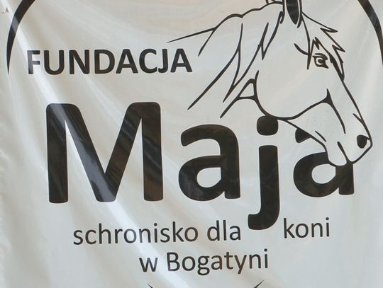 Potrzebna karma dla zwierząt