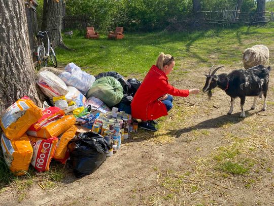 Pracownicy Kopalni Turów z pomocą dla zwierząt