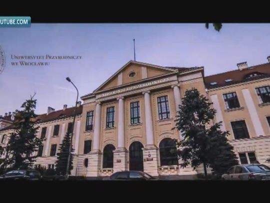 Praktyki w szklarni