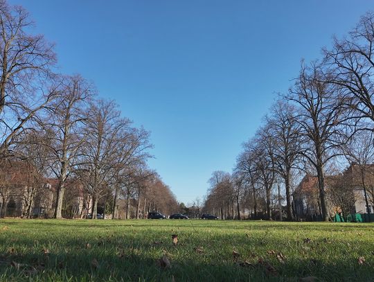 Rewitalizacja parków