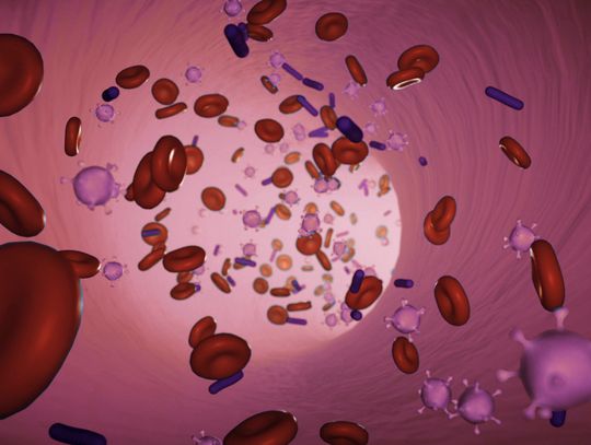 Suplementacja a choroby autoimmunologiczne – co warto wiedzieć?