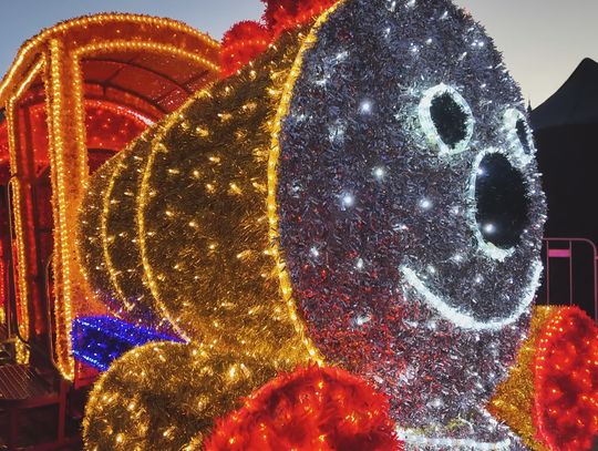 Świąteczny Zgorzelec