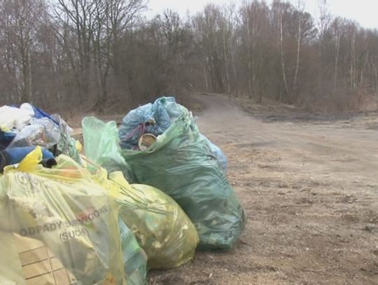 Święto Ziemi – sprzątamy!