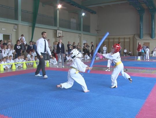 Taekwondo Cup