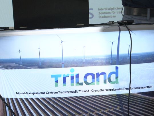 Triland. Gospodarka