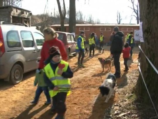 Urodzinowy bieg z czworonogiem