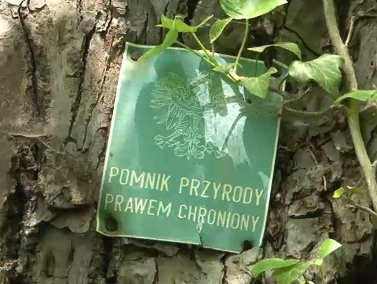 Więcej pomników w gminie