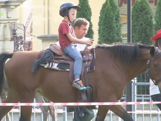 Zabawa dla zwierząt