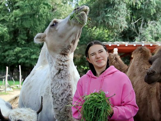 Zoo Görlitz-Zgorzelec Drugim Najlepszym Ogrodem Zoologicznym w Niemczech!
