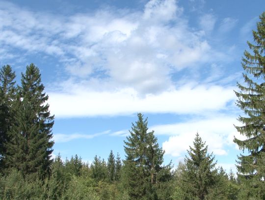 Zrób latawca i wystartuj