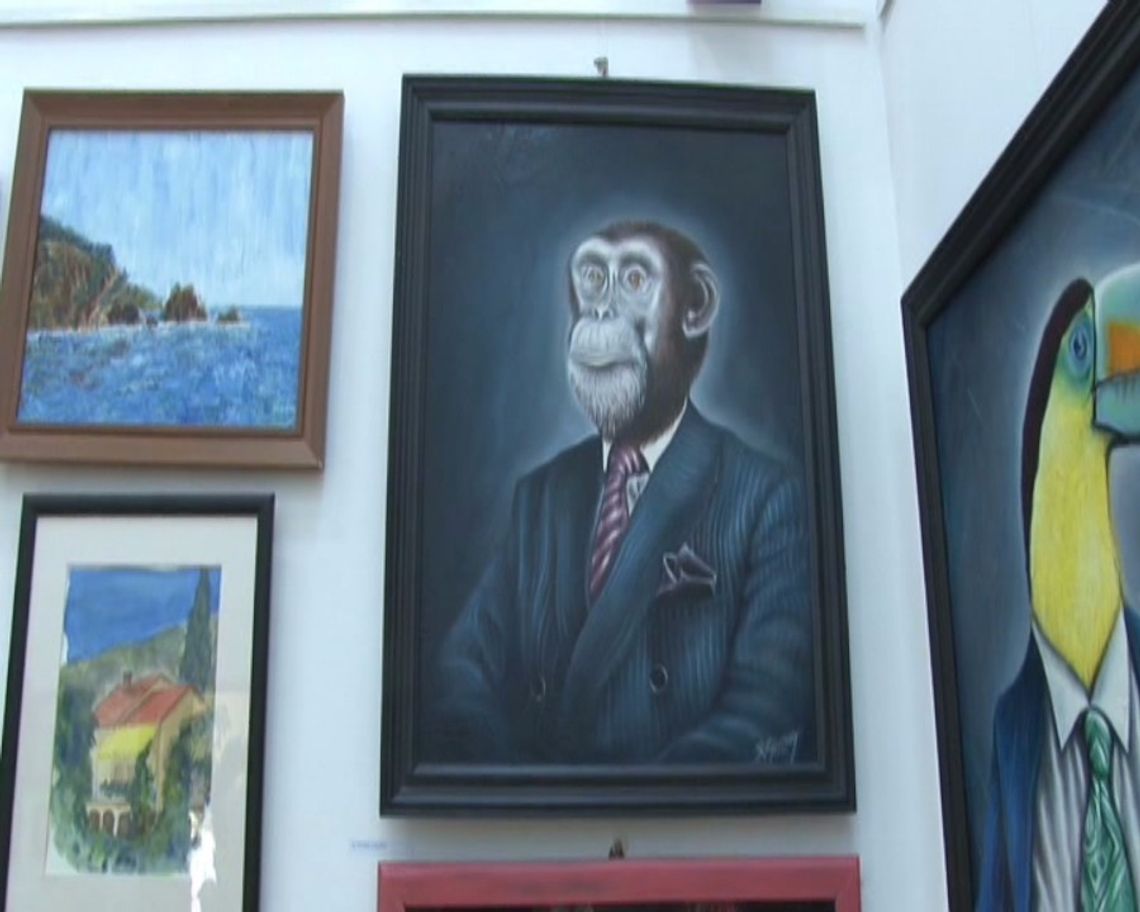 "Animals" Zamożnego