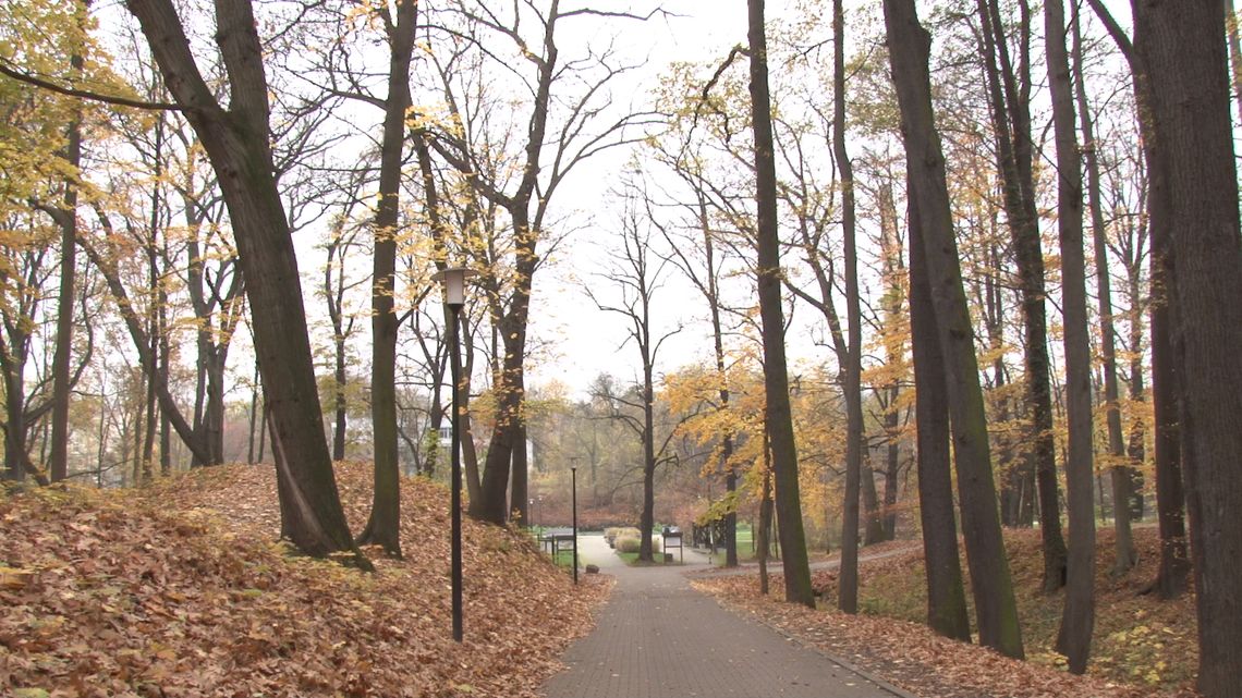 Będzie remont, place zabaw i oznakowanie