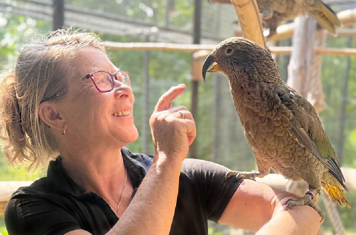 Czas zamiast rzeczy materialnych – Wyjątkowe pomysły na prezenty z Zoo Görlitz-Zgorzelec