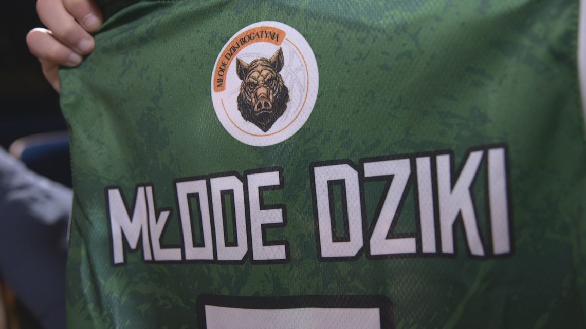 Dziki w kolejnym sezonie