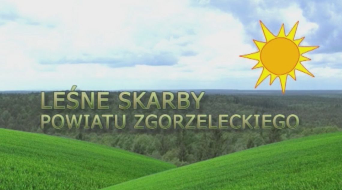 Leśne Skarby Powiatu Zgorzeleckiego