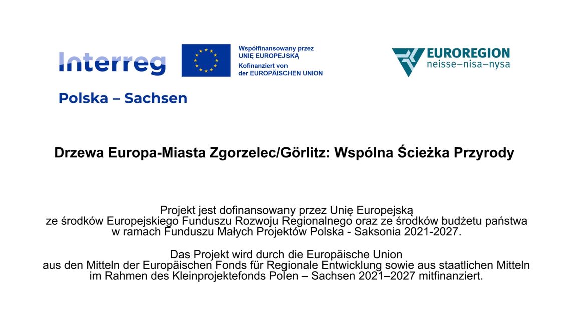Natura po obu stronach Nysy – zakończył się wyjątkowy polsko-niemiecki projekt „Wspólna Ścieżka Przyrody”