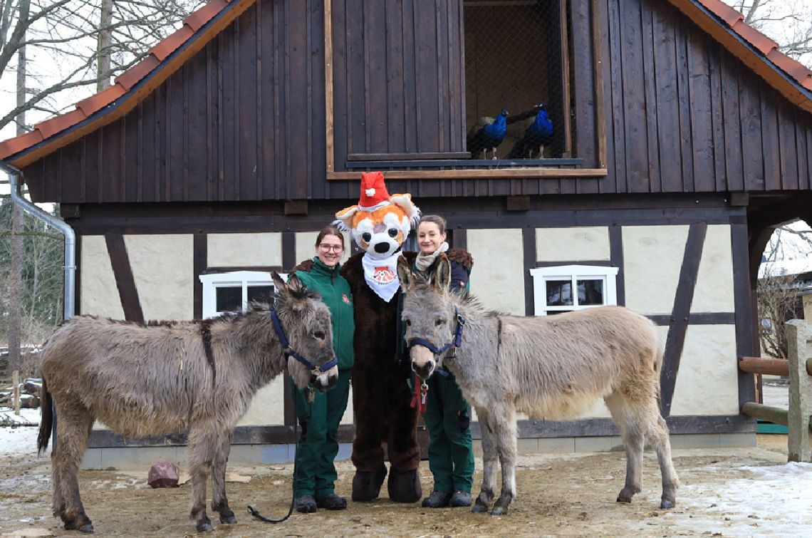 Obdarowywanie zwierząt 7 grudnia 2025 r. o godz. 14:00 w Zoo Görlitz-Zgorzelec