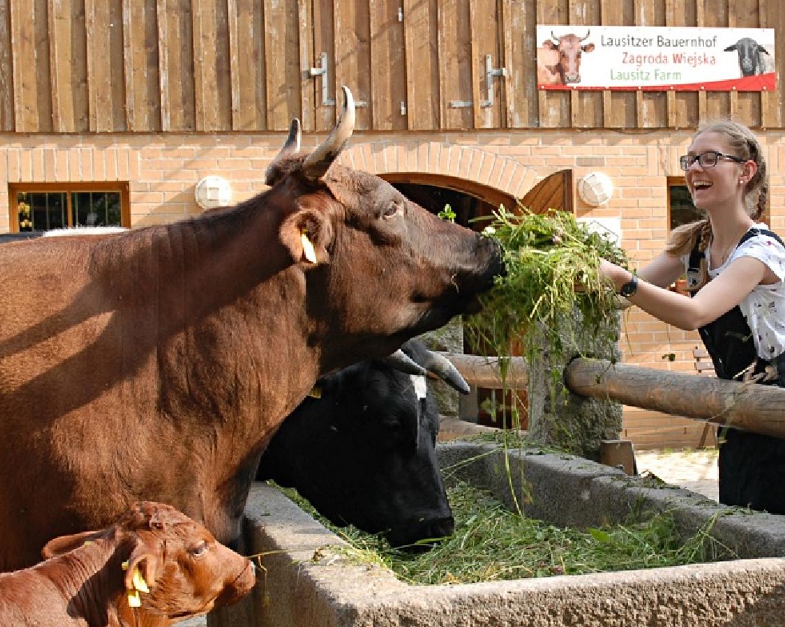 Pandzia dziupla w Zoo Görlitz gwarancją udanych wakacji wśród zwierząt