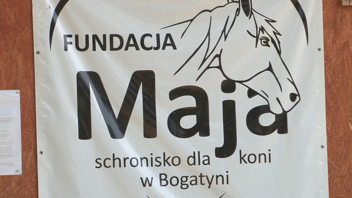 Potrzebna karma dla zwierząt