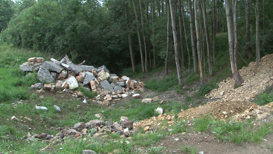 Pozbierał azbest
