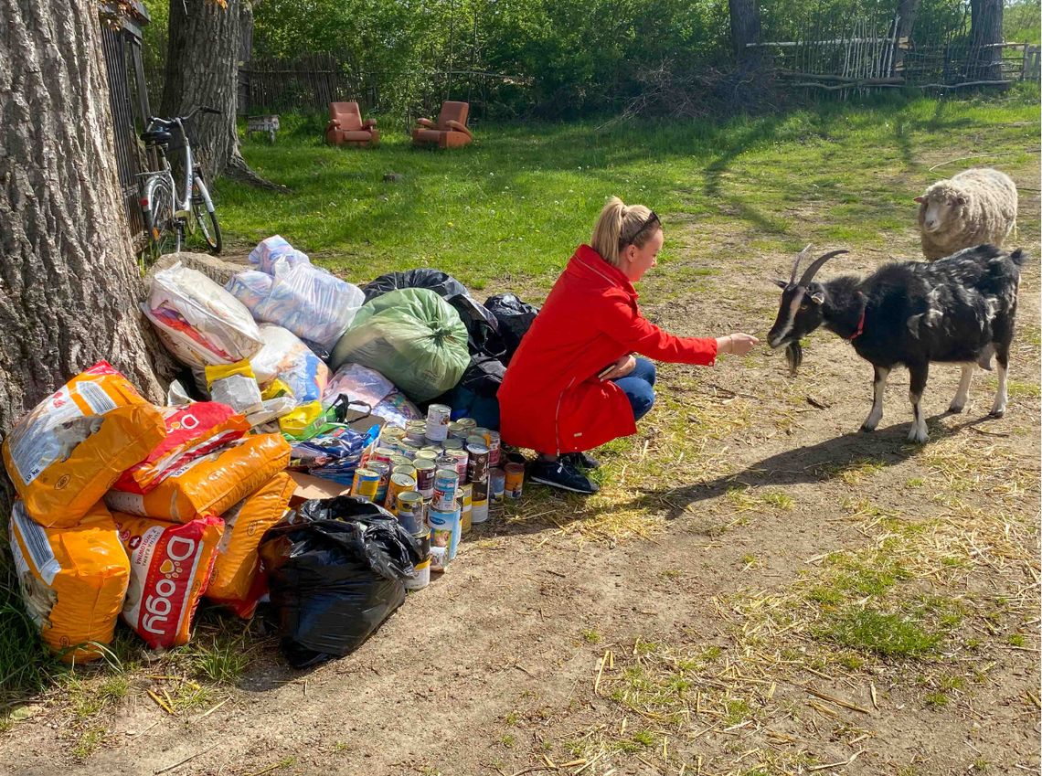 Pracownicy Kopalni Turów z pomocą dla zwierząt