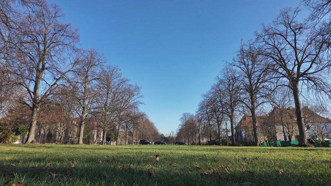 Rewitalizacja parków Rewitalizacja parków